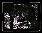 equinox76 (56) * 1632 x 1224 * (1.09MB)